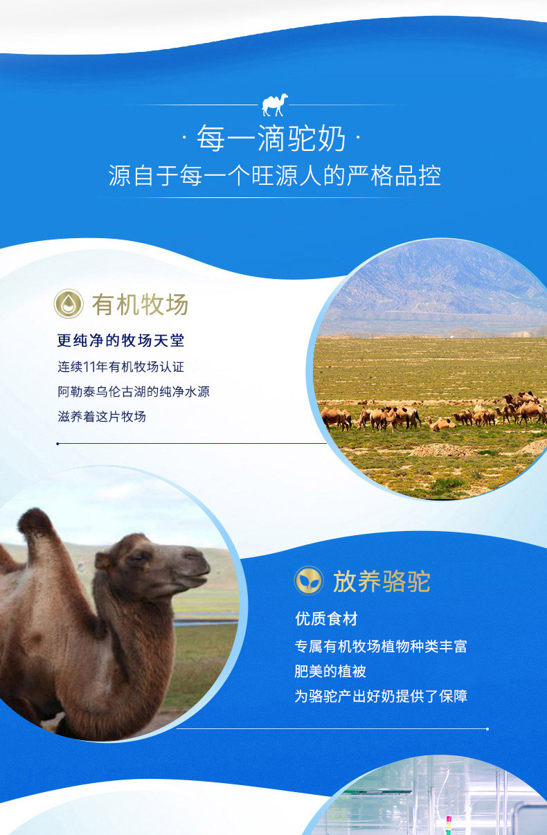 CA88����(�й���) - Ψһ�ٷ���վ