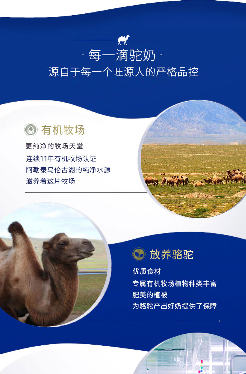 CA88����(�й���) - Ψһ�ٷ���վ