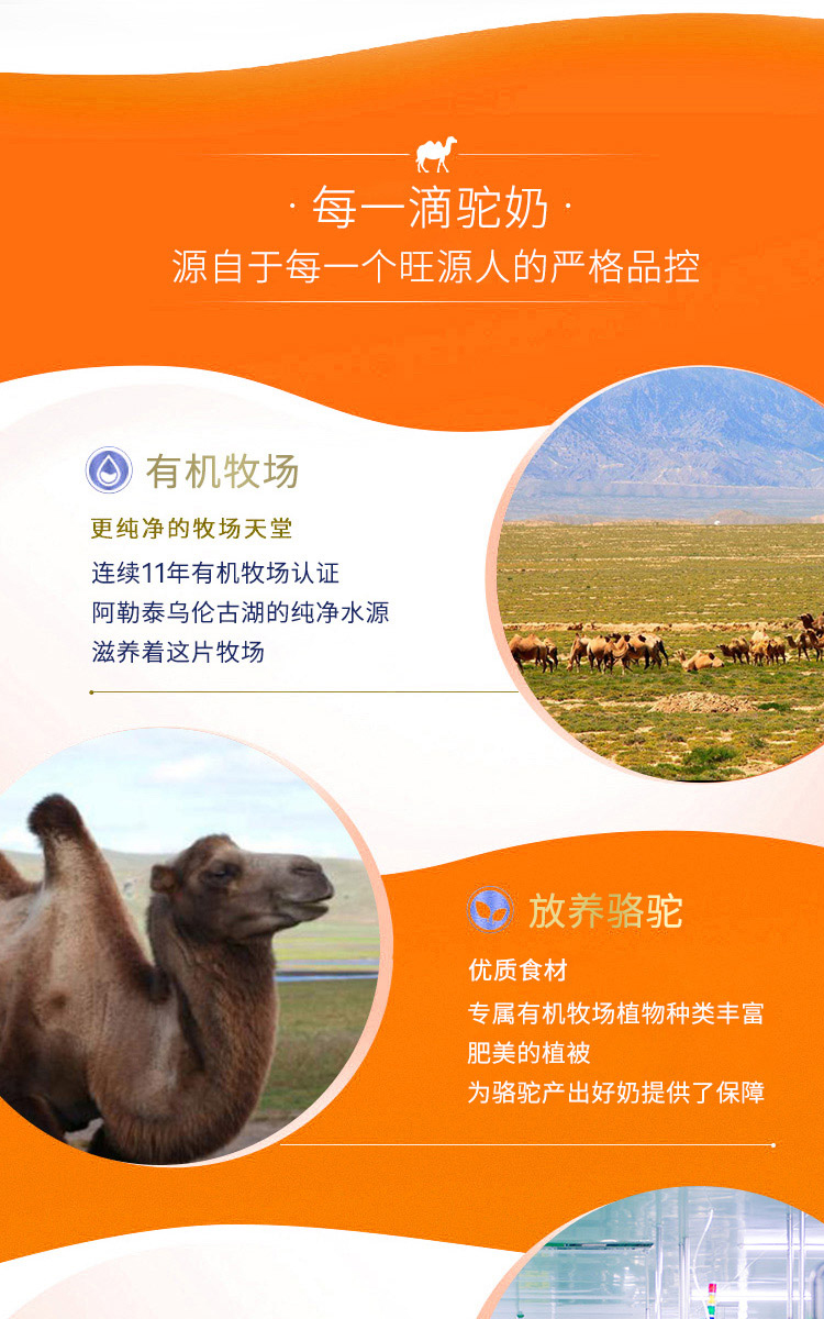 CA88����(�й���) - Ψһ�ٷ���վ