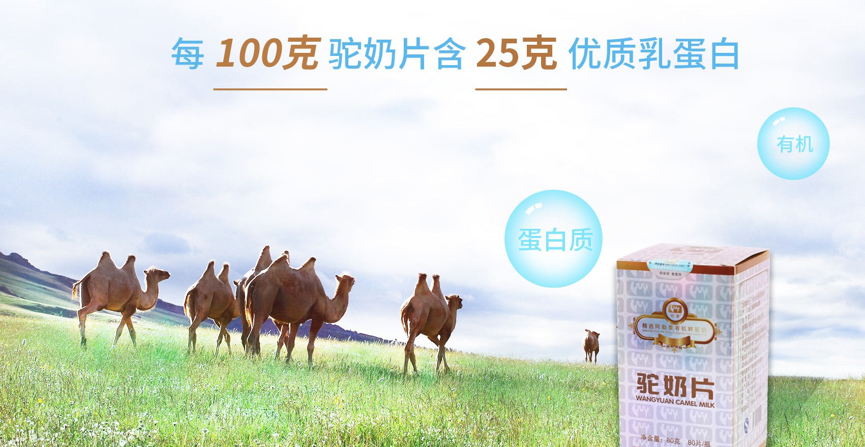 CA88����(�й���) - Ψһ�ٷ���վ