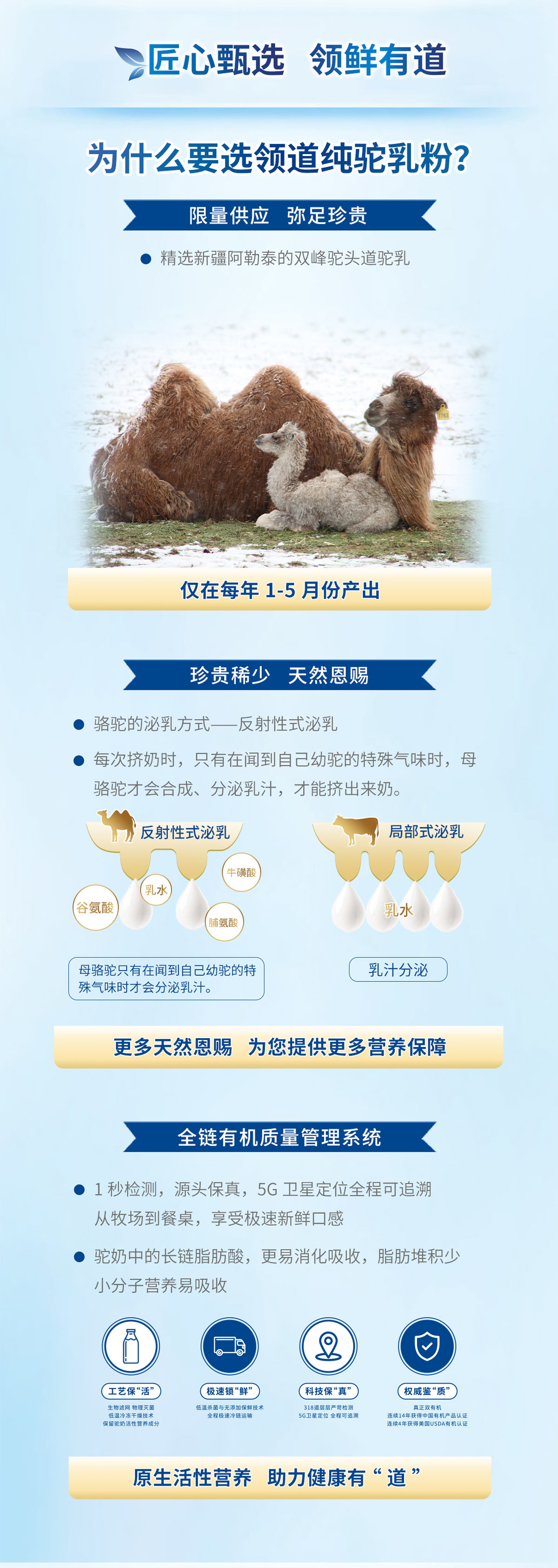 CA88����(�й���) - Ψһ�ٷ���վ
